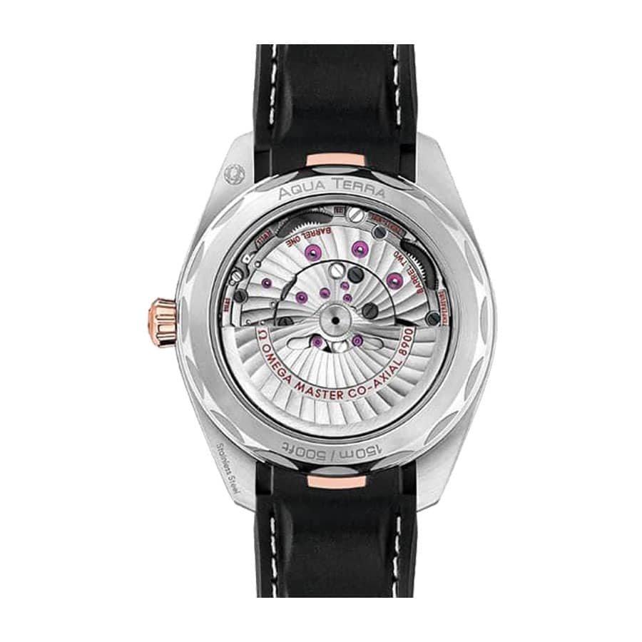 Omega Seamaster Silver Dial Replica - Image 6